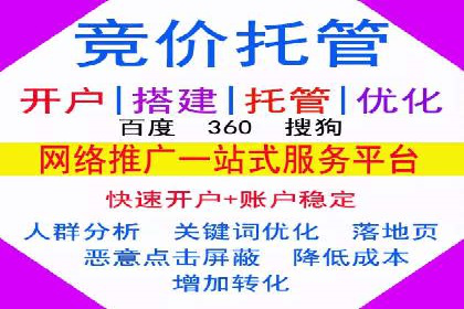 成功案例：SEM托管代运营助力业务增长